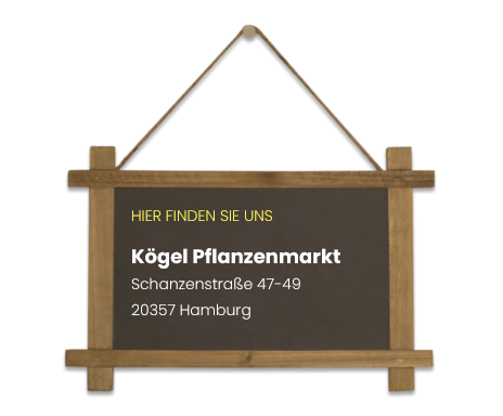 Info Kögel Pflanzenmarkt in Hamburg